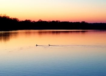 le lac vu du camping